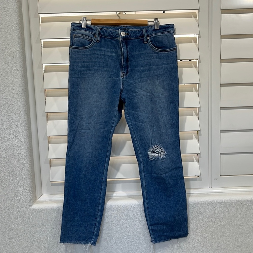 Kut From the Kloth- High Rise Cigarette Leg Jeans